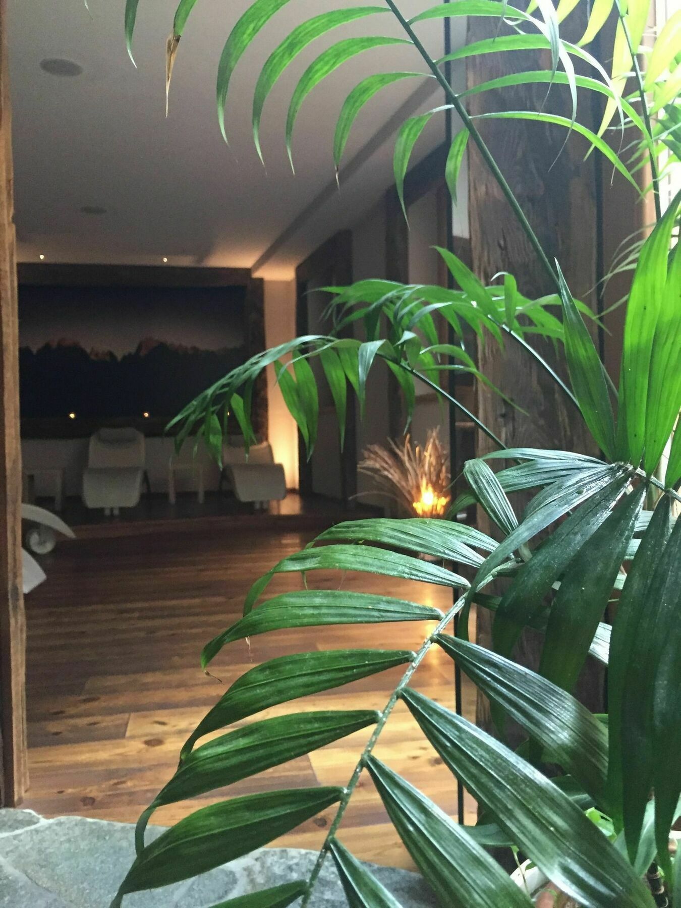 Maribel Hotel 마돈나 디 캄필리오 외부 사진